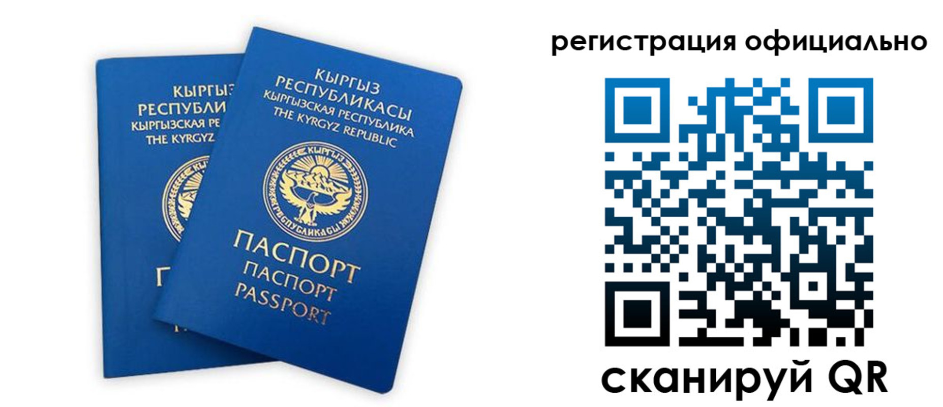 прописка поиск в Мензелинске